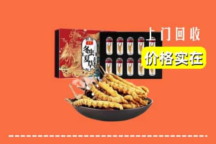 汕头市潮阳回收冬虫夏草